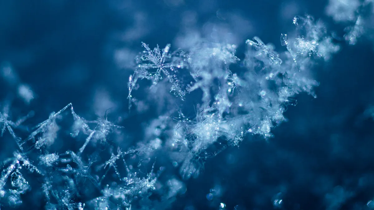 Detailed macro shot of snowflakes showcasing their intricate designs and delicate formations.